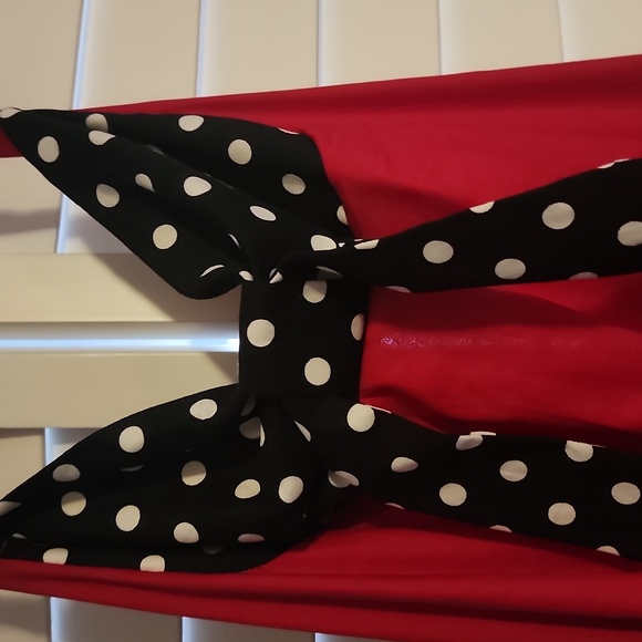 NWT IBTOM CASTLE Polka Dot Swing Dress - Picture 3 of 8